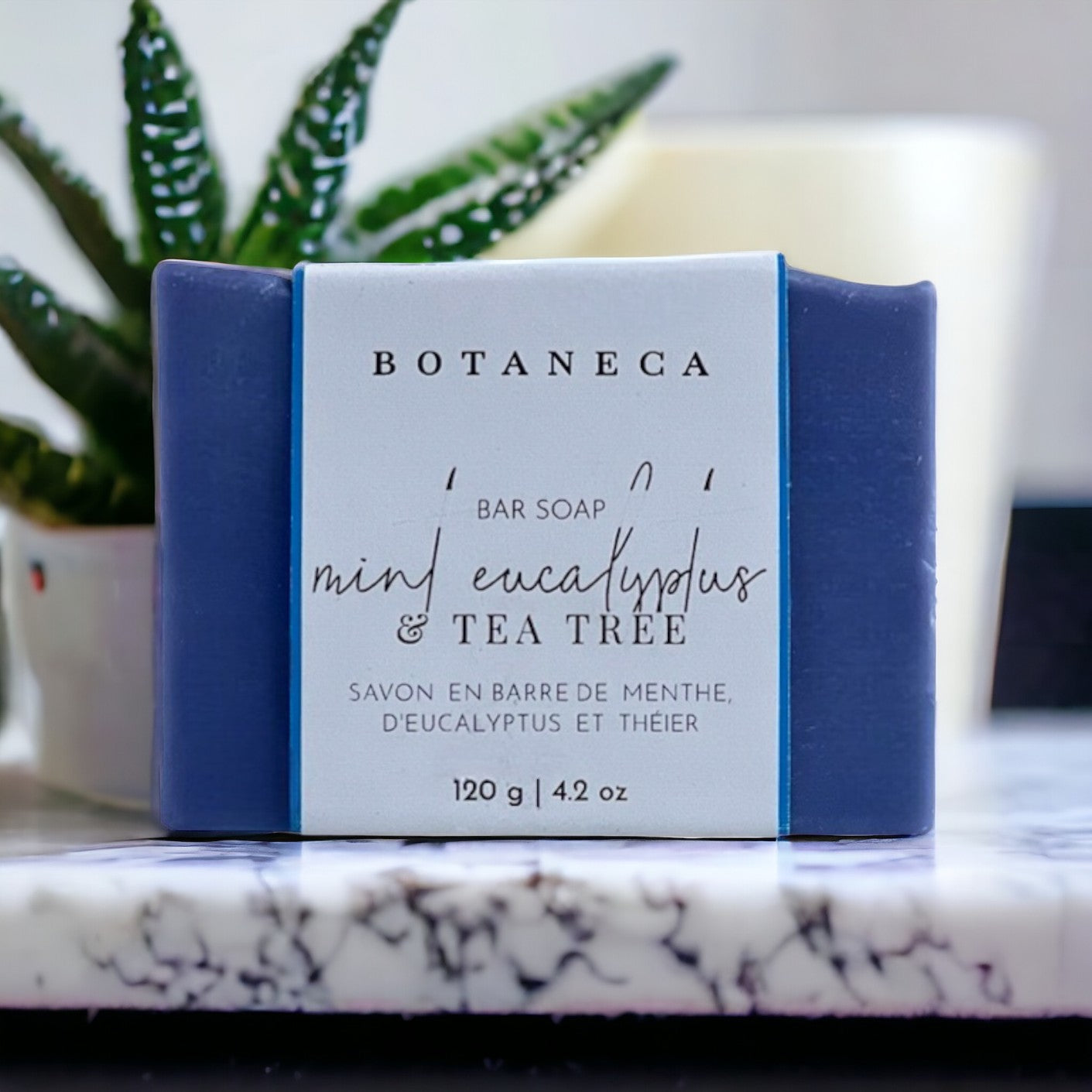 Mint, Eucalyptus + Tea Tree Bar Soap